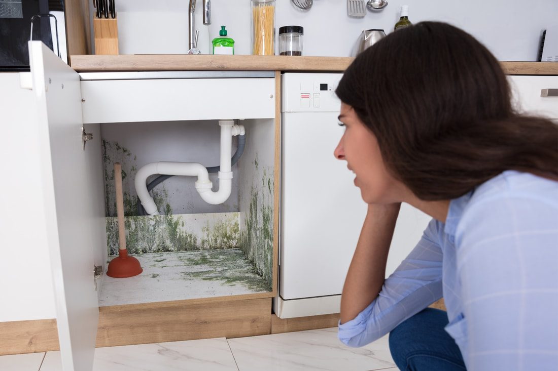 Woman can see mold in here cabinet