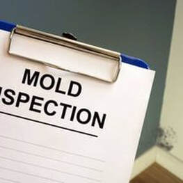 Mold Inspection Checklist