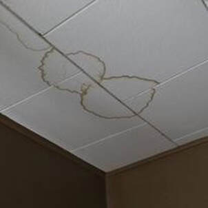 Mold on ceiling tiles