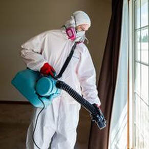 Mold Removal Person